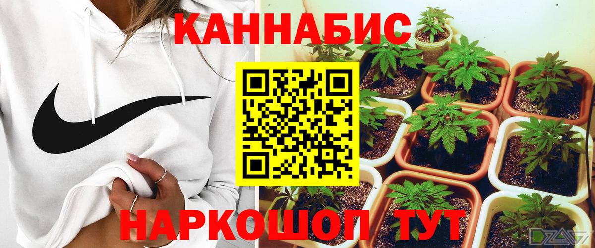 Конопля Bruce Banner Орёл